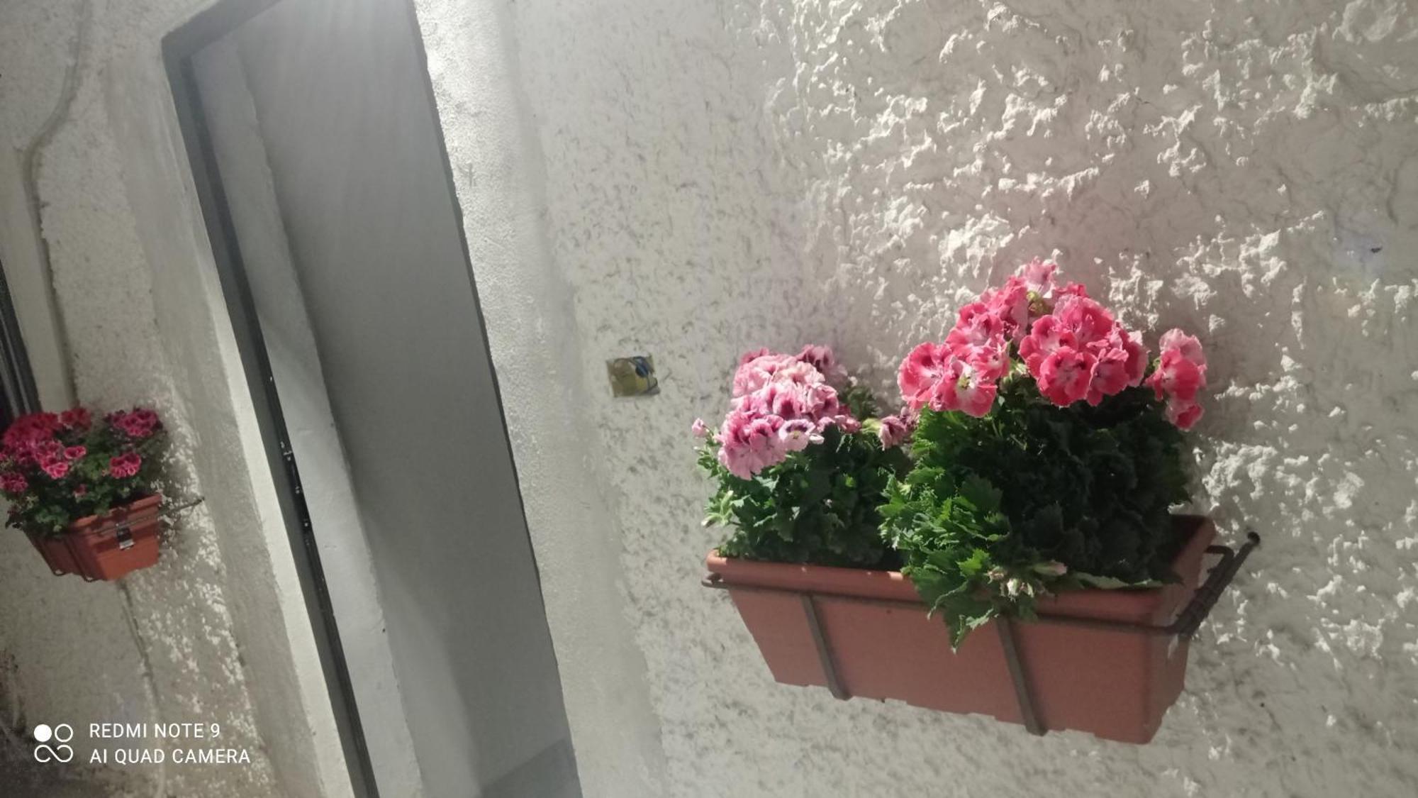 Ortensia C House Villa Catania Luaran gambar